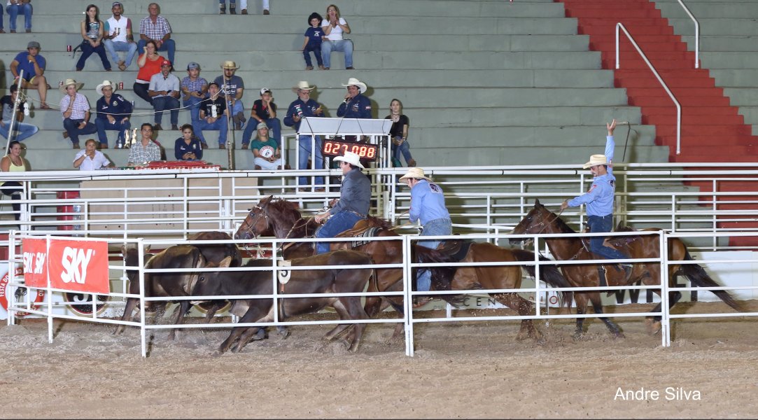 TEAM PENNING: Confira o menor tempo desta sexta-feira (19) 