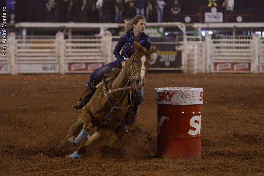 Abertas as inscrições para provas de Team Penning e Três Tambores da 62ª Festa do Peão de Barretos   