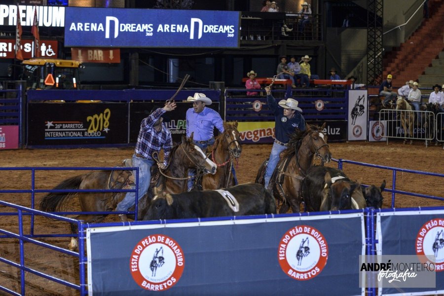 Team Penning define outro grupo para a final de domingo