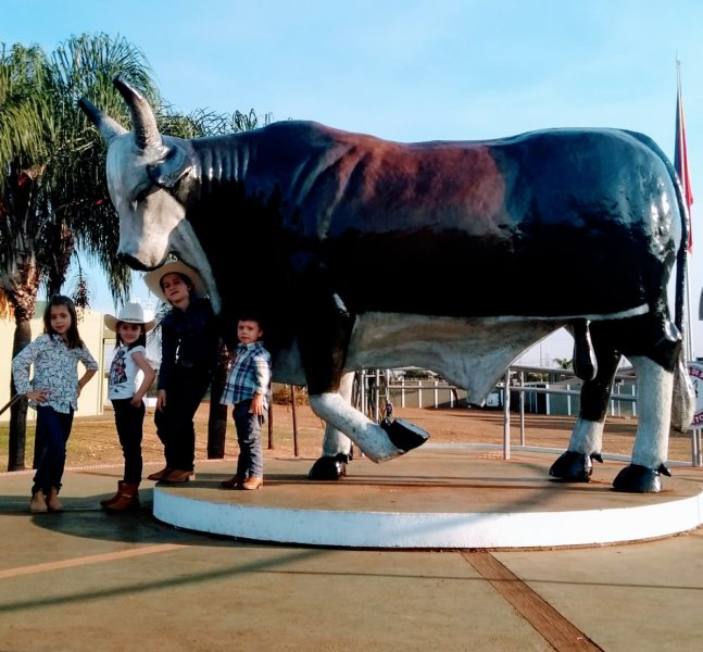 Monumento do touro Bandido é um dos locais mais visitados do Parque do peão