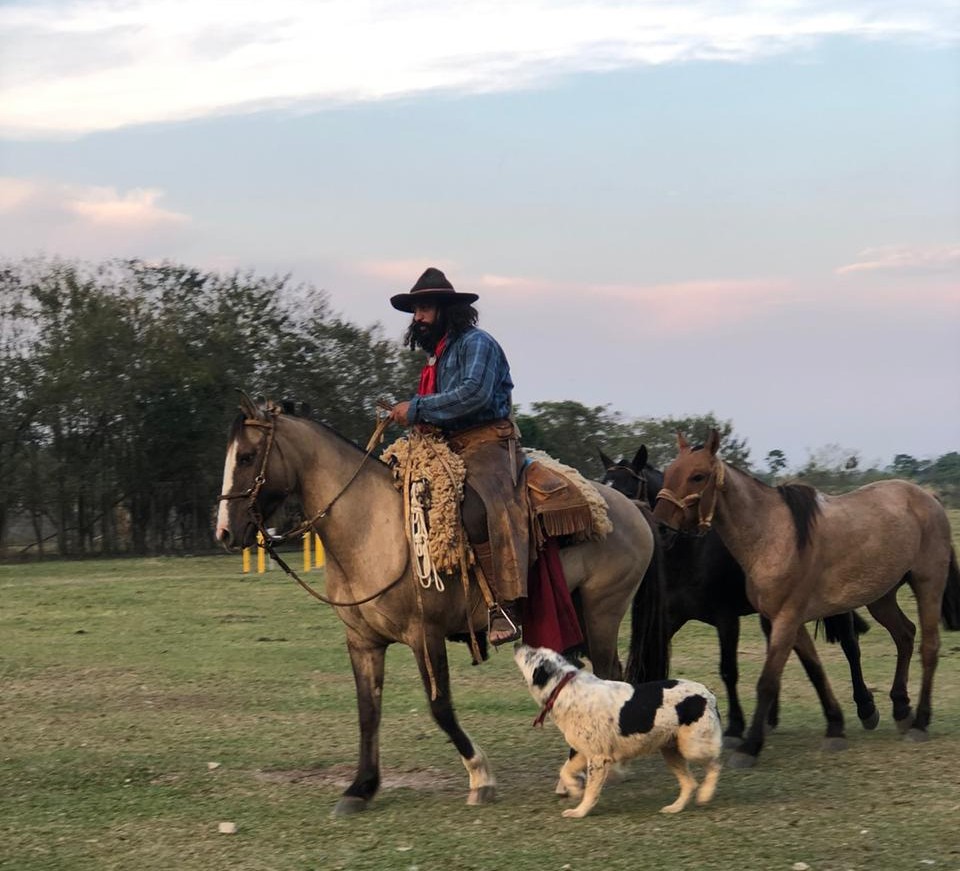 Bruxo dos Potros cumpre promessa após 353 dias de viagem e faz doação de cavalos ao Hospital de Amor