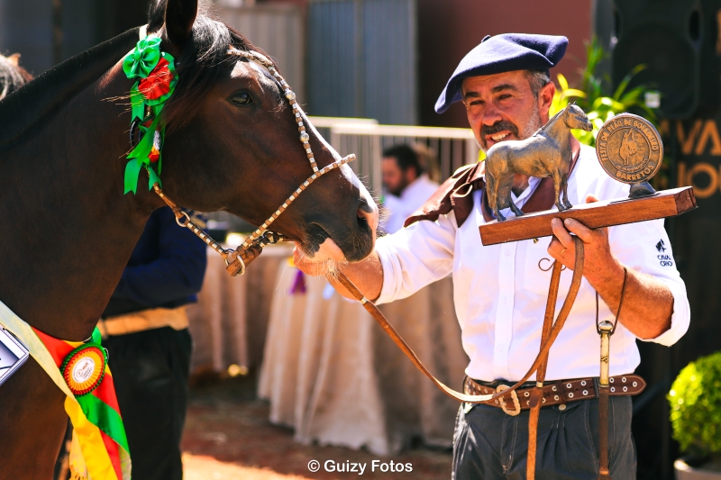 Encontro acontece até 23 de agosto, com 50 cavalos e tropas de todo o país; raça retorna ao Parque do Peão após quase 20 anos