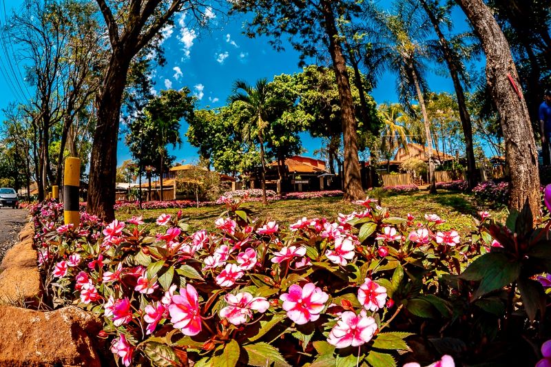 Mais de 85 mil plantas transformam paisagem da 71ª Festa do Peão de Barretos e exigem cuidado diário