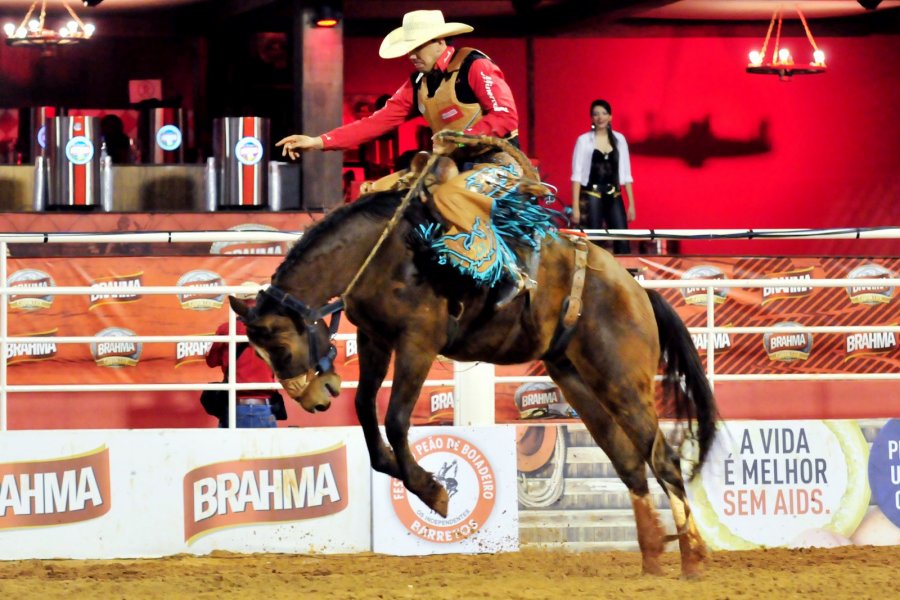 ProHorse mais um ano no Barretos International Rodeo, a partir de sexta