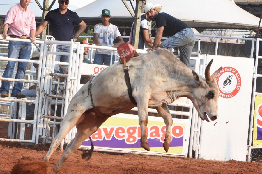 Montria Rodeio Montaria com robôs seleciona os futuros animais para rodeios | Festa do ...